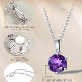FANCIME “Everbloom” 14K Solid White Gold Amethyst Birthstone Gemstone Pendant with Sterling Silver Chain Necklace